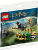 LEGO Harry Potter L'entraînement de Quidditch 30651