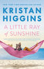 A Little Ray of Sunshine - English Edition