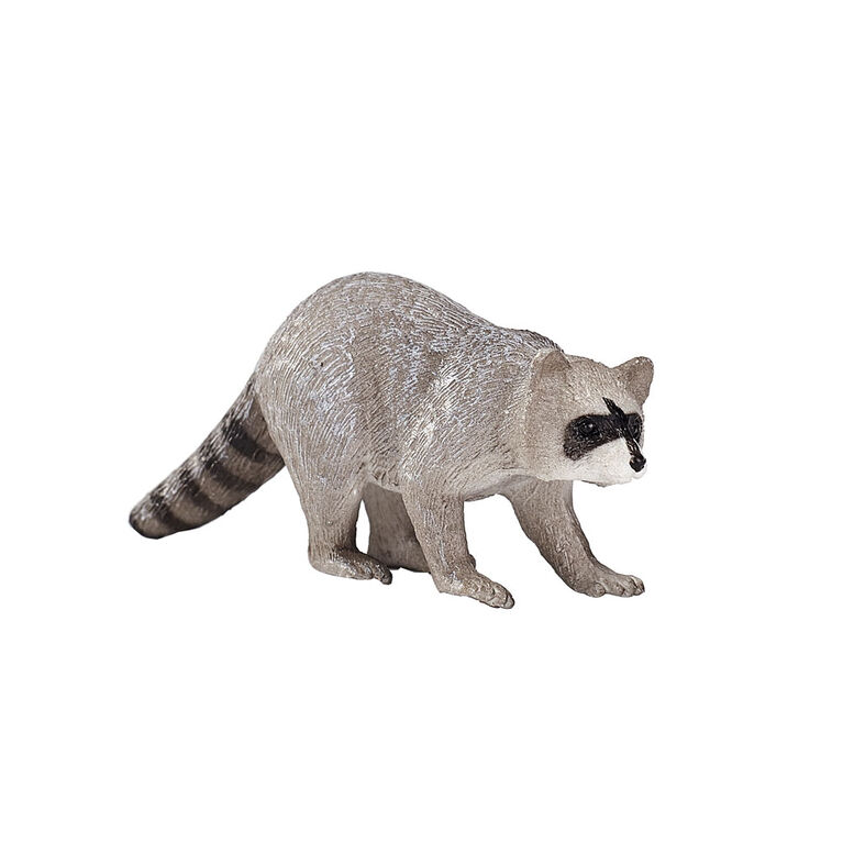 ALEX - Raccoon - Medium