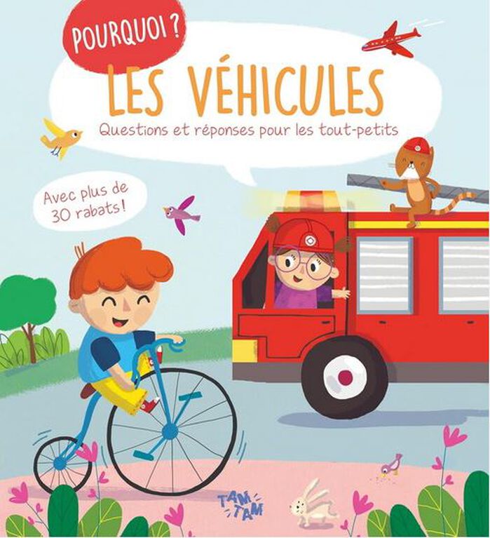 Les Vehicules
