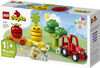LEGO DUPLO Mon premier tracteur à fruits et légumes 10982 Ensemble de jeu de construction (19 pièces)
