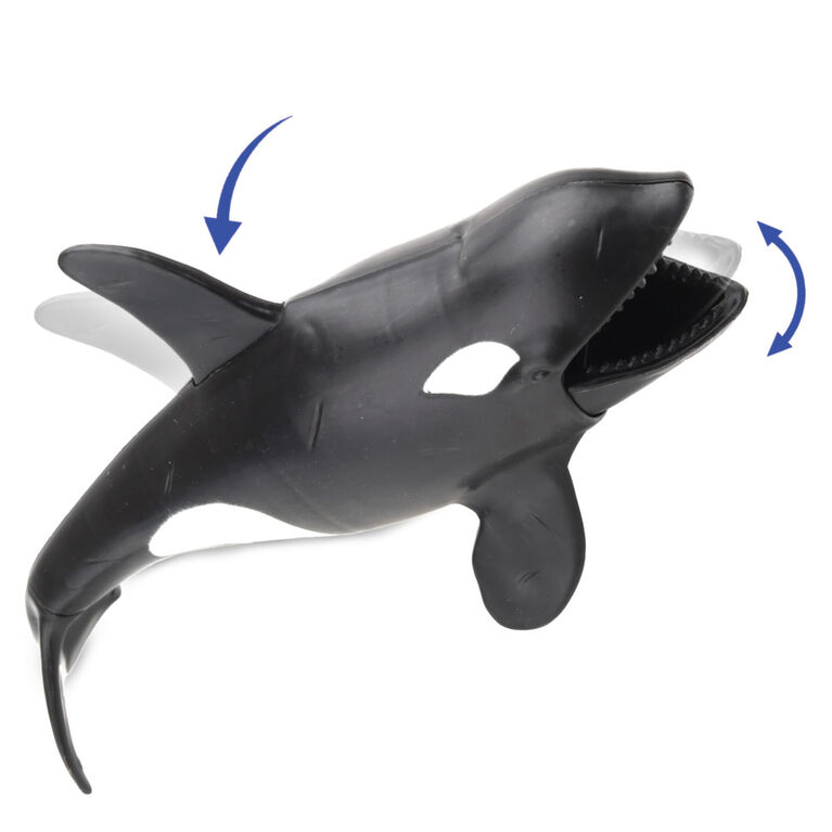 Animal Planet - Jawsome Shark Bucket