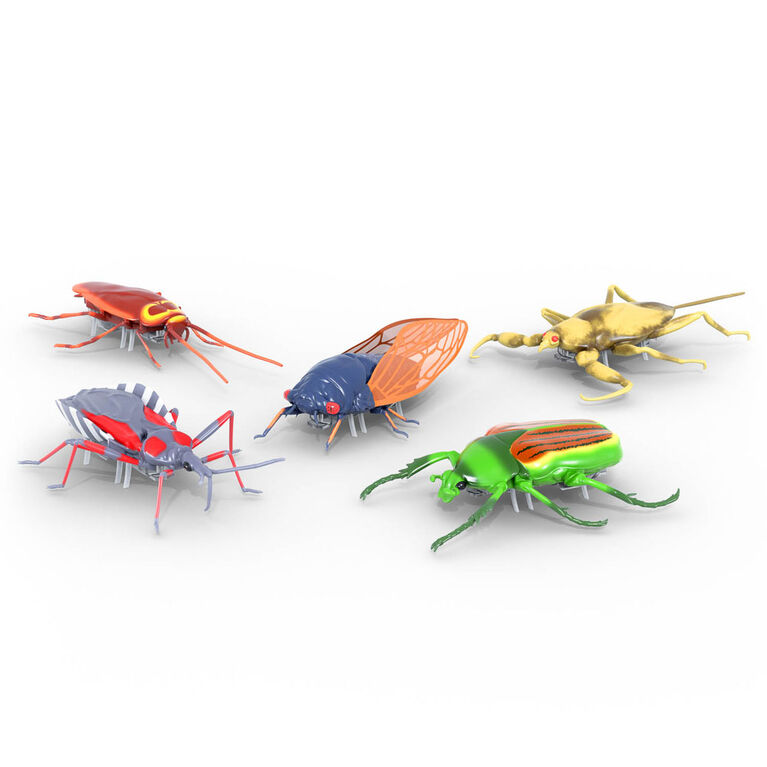 Véritables Insectes Nano, Paquet De 5, Hexbug