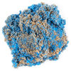 Kinetic Sand, Moule Coquillage contenant 127 g de sable bleu fluo et de sable de plage Kinetic Sand
