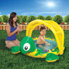 Banzai Shady Time Turtle Pool