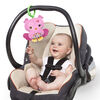 Charming Chirps Activity Gym