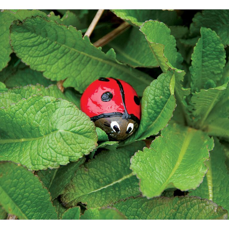 Kit de peinture sur galets Cache-cache pour enfants - Cr&eacute;ativit&eacute; pour les enfants