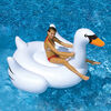 Giant Swan 75" Inflatable Ride On Toy