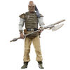 Star Wars The Vintage Collection Weequay, Star Wars: Return of the Jedi 40th Anniversary 3.75" Figure