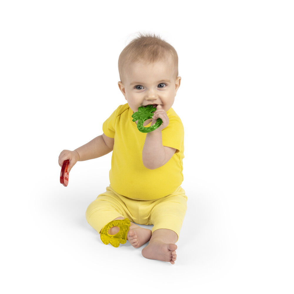 Toys r us 2024 teethers