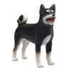 ALEX - Shiba Inu Black - Medium