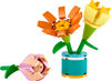 LEGO Friends Friendship Flowers 30634