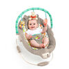 Bright Starts Disney Baby WINNIE THE POOH Dots & Hunny Pots Bouncer