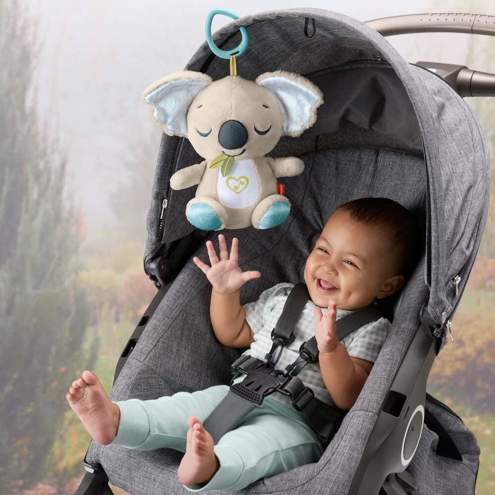 Fisher-Price On-The-Go Koala Soother