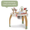 Tiny Love 5-in-1 Here I Grow Stationary Activity Center - Boho Chic Collection