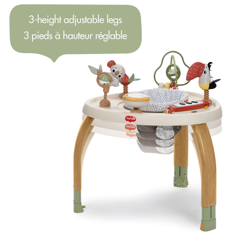 Tiny Love 5-in-1 Here I Grow Stationary Activity Center - Boho Chic Collection