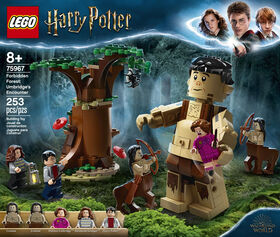 LEGO Harry Potter La Forêt interdite : la rencontre d'Ombr 75967 (253 pièces)