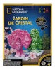 National Geographic Crystal Garden