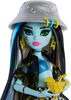 Monster High Scare-adise Island Frankie Stein Fashion Doll