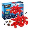 Flexo: Ocean Life - Crab