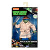 TMNT Classic Elite 6" Figure - Leonardo In Disguise