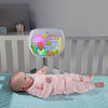 Fisher-Price Settle & Sleep Projection Soother