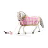 Lipizzaner with Blanket