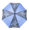 Batman Umbrella