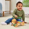 VTech Zoo Jamz Doggy Xylophone - English Edition