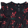Gerber Childrenswear - 2 Pack Babydoll Dress - Girl - Holly Berries