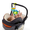 Baby Einstein - Rhythm of the Reef Play Gym