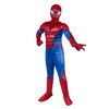 Marvel's Spider-Man Deluxe Youth Costume - Large - Muscle Jumpsuit With Printed Design And Polyfill Stuffing Plus Full Fabric Headpiece And Gloves