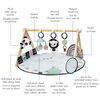 Tiny Love Developmental Luxe Activity Mat Gymini - Black & White Décor Collection
