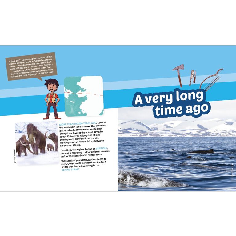 Discovering and Understanding The Cree - English Edition