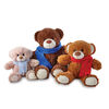 Out To Impress Make Your Own Bear Family