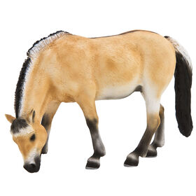 ALEX - Fjord Jument - Tr&egrave;s Grand