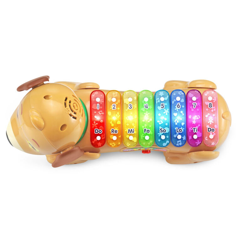 VTech Zoo Jamz Doggy Xylophone - English Edition