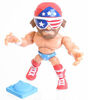 Loyal Subjects - WWE Collection - Styles may vary