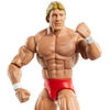 WWE Legends "Mr. Wonderful" Paul Orndorff Elite Collection Action Figure