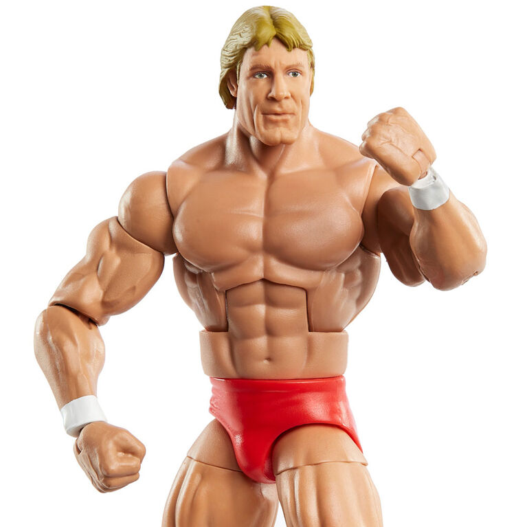 WWE Legends "Mr. Wonderful" Paul Orndorff Elite Collection Action Figure