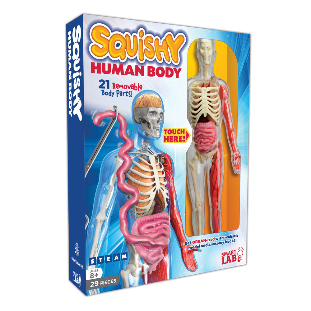 Squishy human body deals toys r us
