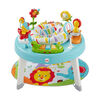 Fisher-Price 3-in-1 Sit-to-Stand Activity Center - R Exclusive