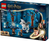 LEGO Harry Potter La Forêt interdite : les créatures magiques 76432