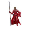 Star Wars The Vintage Collection Emperor's Royal Guard Toy