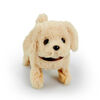 Pitter Patter Pets - Coffret Playful Puppy Pal Labrador crème - Notre exclusivité - Édition anglaise