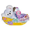 Little Live Cozy Dozy- Kip Le Koala - Notre exclusivité - Édition anglaise
