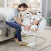 Fisher-Price See and Soothe Deluxe Bouncer