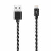 Blu Element Braided Lightning to USB Cable 4ft Zebra