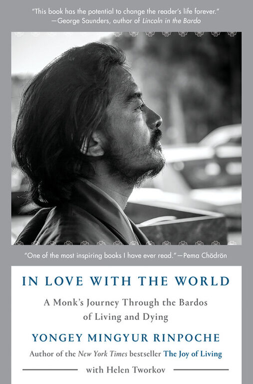 In Love with the World - English Edition