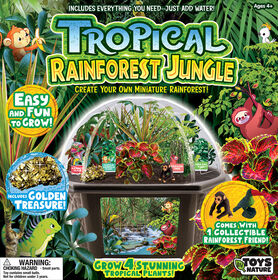 Tropical Rainforest Jungle Biosphere Terrarium - English Edition
